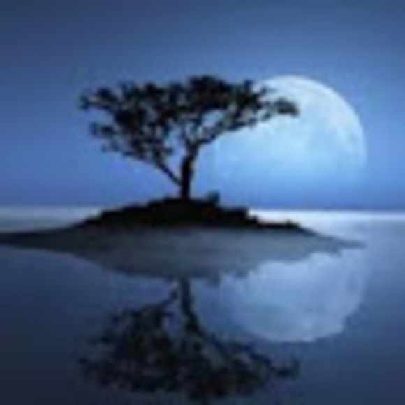 Meet your Posher, Julia - Picture 1 of 1